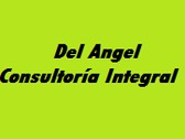 Del Angel Consultoría Integral