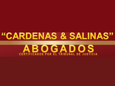 Cárdenas & Salinas Abogados-Especialistas Divorcios