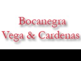 Bocanegra, Vega & Cardenas
