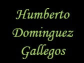 Humberto Dominguez Gallegos