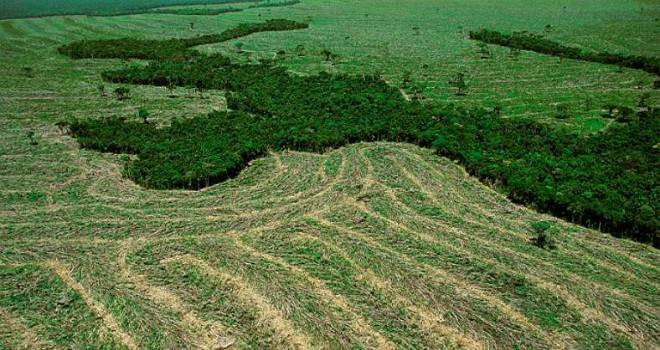 brazil-mato-grosso-do-norte-deforestatio