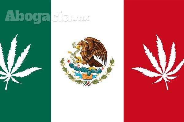 Sobre la legalización de la marihuana en México: avances y retrocesos