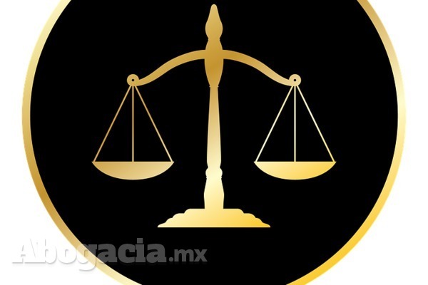 12 de julio, día del abogado en México