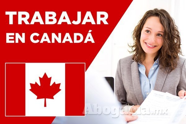 Oportunidad laboral para estudiantes en Canadá