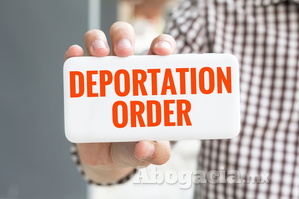 Amparos en Estados Unidos para inmigrantes con orden de deportación, ¿qué hacer?