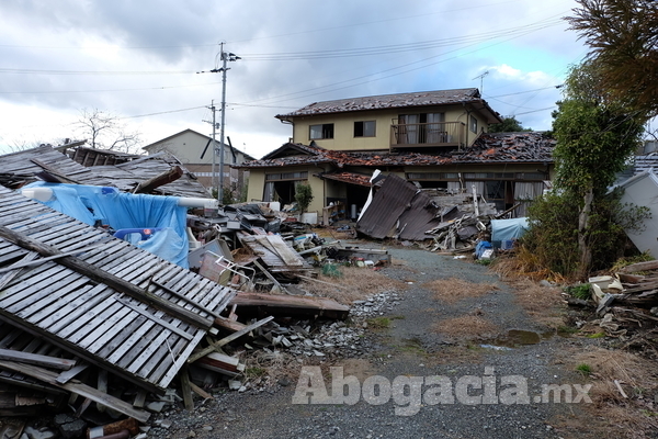 Derecho a la vivienda después del sismo