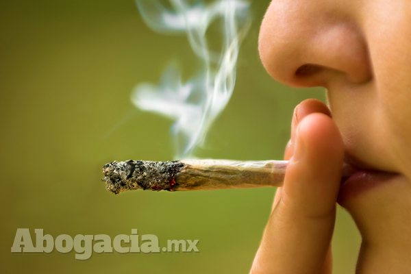 Se deben reforzar las acciones para prevenir el consumo de drogas, incluyendo la marihuana, especialmente las campañas orientadas a niños y jóvenes.