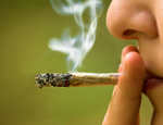 Continúa el debate sobre la legalización de la marihuana
