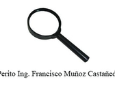 Perito Ing. Francisco Muñoz Castañeda