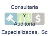 Consultaría Y Auditoría Especializadas, Sc