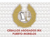 Ceballos Abogados Mx