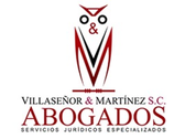Villaseñor Y Martínez Abogados