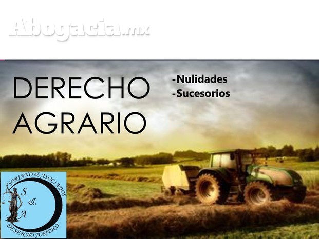 DERECHO+AGRARIO.jpg