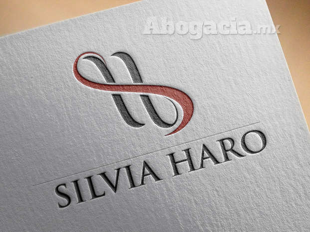 Abogada Silvia Haro