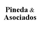 Pineda y Asociados