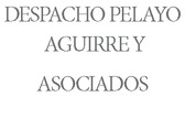 DESPACHO PELAYO AGUIRRE Y ASOCIADOS