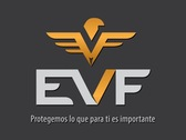 EVF INTELIGENCIA DE MARCA