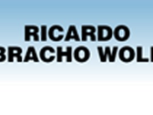 Lic. Ricardo Bracho Wolf