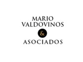 Despacho Mario Valdovinos & Asociados