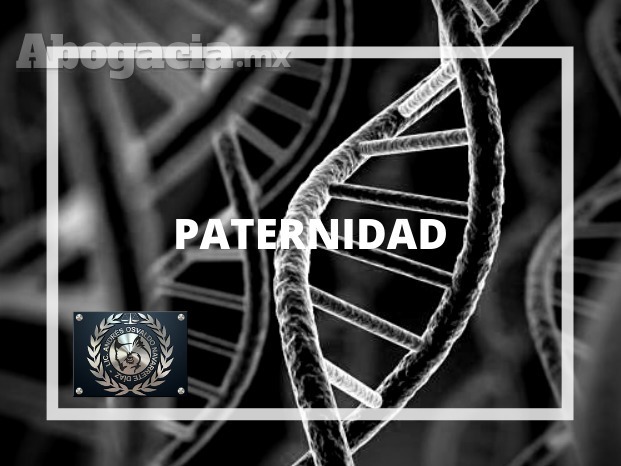 PATERNIDAD