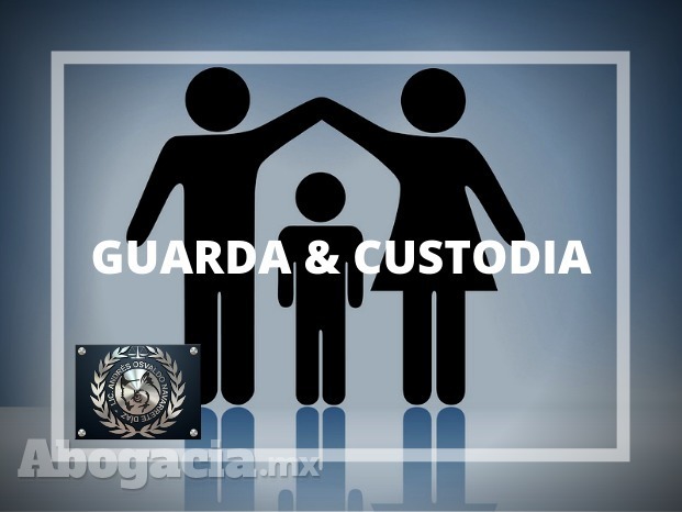 GUARDA & CUSTODIA EN LEÓN GUANAJUATO