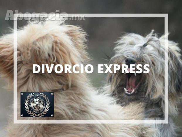 DIVORCIO EXPRESS EN LEÓN GUANAJUATO