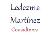 Ledezma Martínez Consultores
