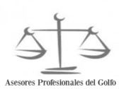 Asesores Profesionales del Golfo