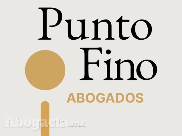 logo punto fino.jpg