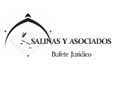 Salinas y Asociados