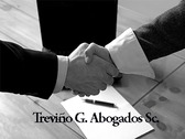 Treviño G Abogados Sc