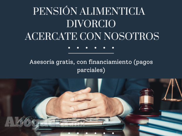 Financiamiento en divorcios o pensiones