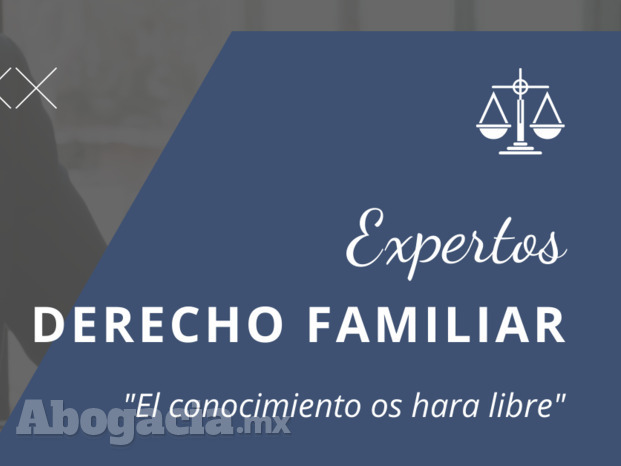 Expertos en derecho familiar