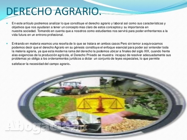 Asesoría derecho agrariao