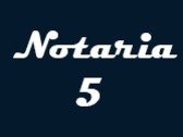 Notaria 5 Estado De Nayarit
