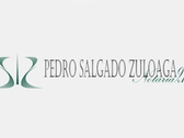 Lic. Pedro Salgado Zuloaga