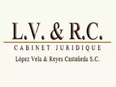 López Vela & Reyes Castañeda S.C.