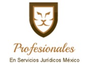 Profesionales En Servicios Jurídicos México