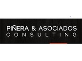 Piñera & Asociados Consulting