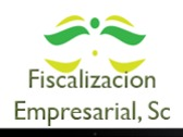 Fiscalización Empresarial, Sc