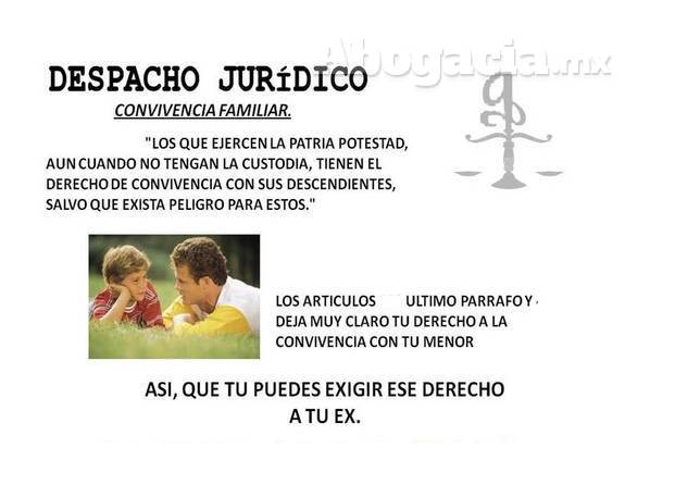 Despacho Jurídico Lic. José Antonio Gallegos Padilla 