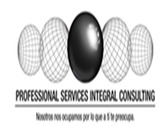 Professional Services Integral Consulting Sc