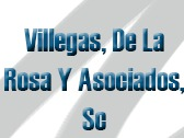 Villegas, De La Rosa Y Asociados, Sc