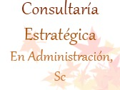 Consultaría Estratégica En Administración, Sc