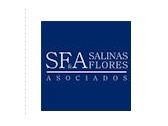 Salinas Flores & Asociados