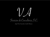 VA Servicios de Consultoria, S.C.
