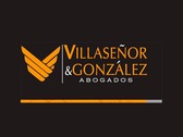 Villaseñor y González Abogados