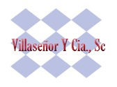 Villaseñor Y Cia., Sc