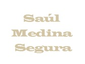 Saúl Medina Segura