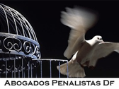 Abogados Penalistas DF